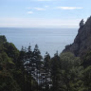 Meet your Posher, Piper